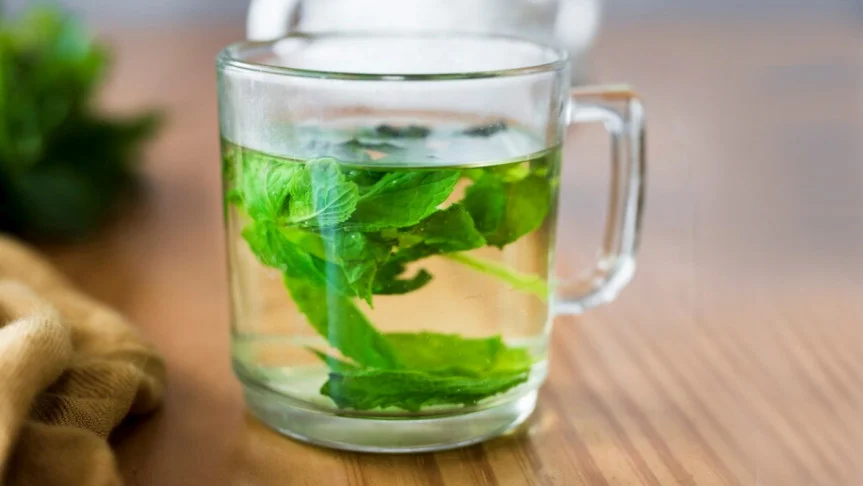 Learn About 4 Benefits of Mint Leaves